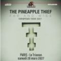 THE PINEAPPLE THIEF